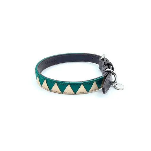 Colliers pour chiens sharktooth