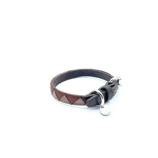 Colliers pour chiens sharktooth