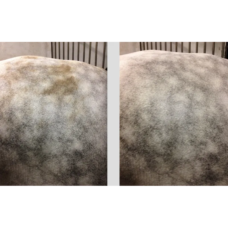Easy Shine Mouss - Nettoyant sec cheval - Ravene - RAVENE - Shampoing cheval - Equestra