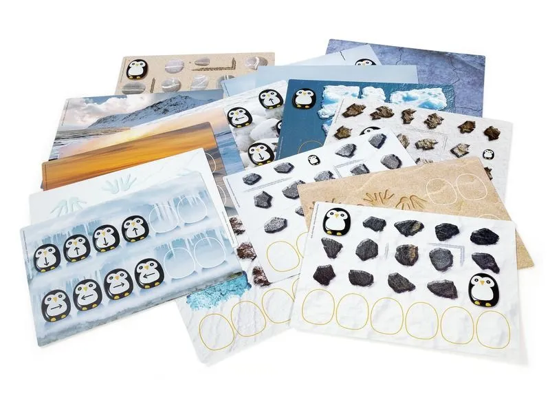 INITIATION AU CODAGE Cartes de pré-coding pingouins