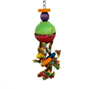 Jouet pour perroquet, perruche, oiseaux exotiques pendentif coco et corde