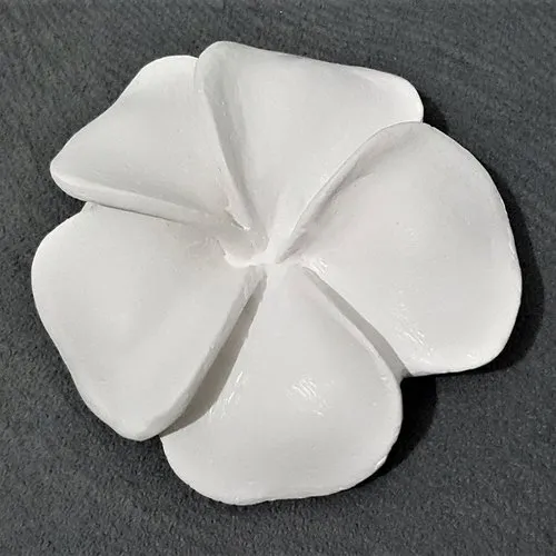 Moule silicone fleur de frangipane 7,8cm 3d nature pour plâtre argile wepam savon bougie résine polyester ciment fimo k705 çb110